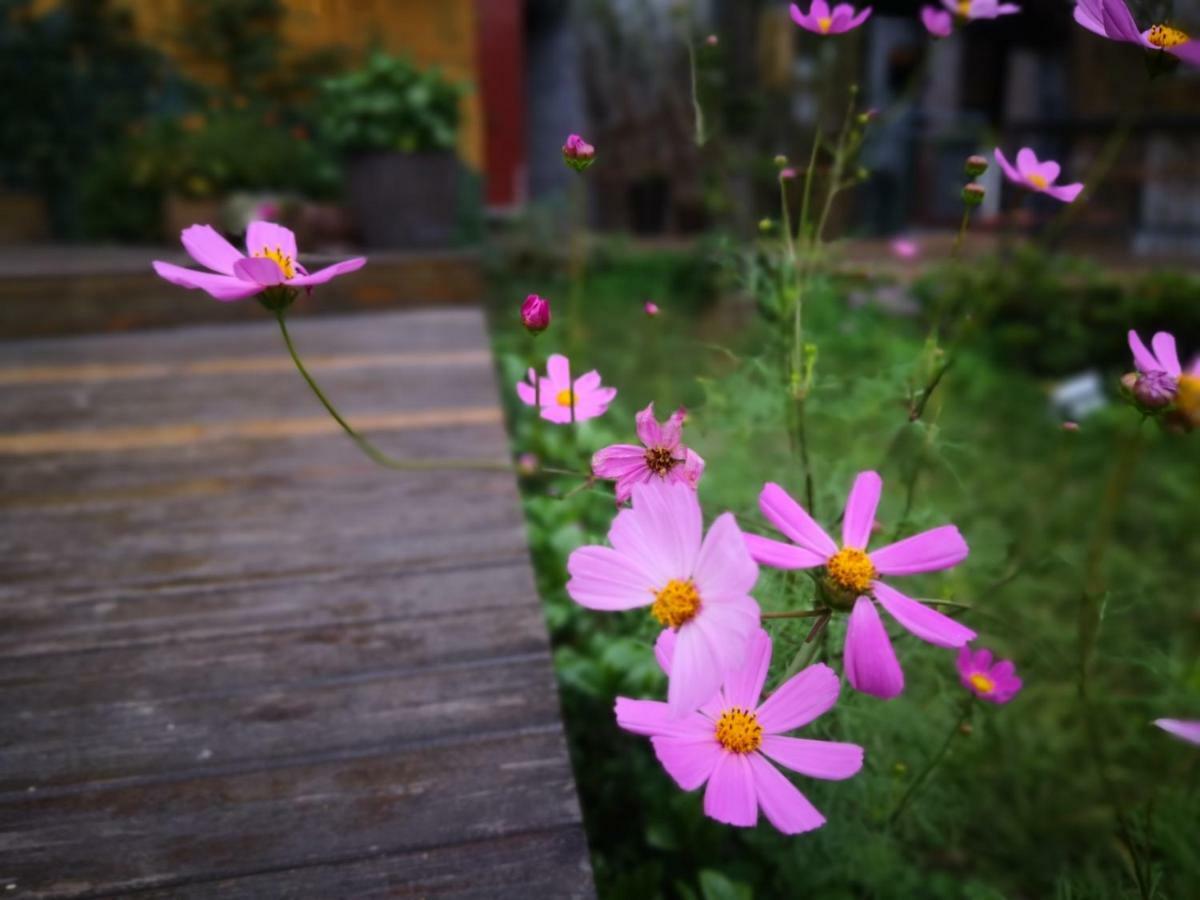 Dao Bian Inn Zhangjiajie Eksteriør bilde